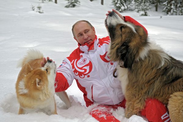 Russia’s President Putin Turns 61 Russia’s President Putin Turns 61 - Sputnik International