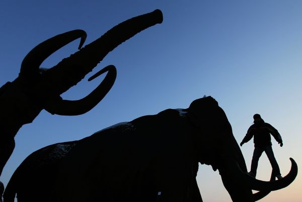 Mammoths, a sculpture in Russia’s Khanty-Mansiisk. - Sputnik International
