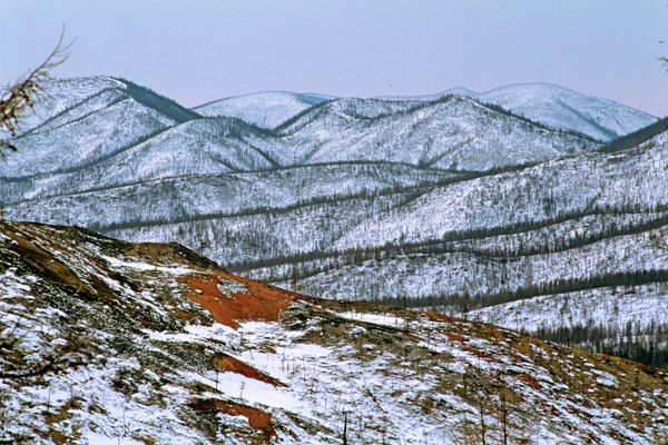 Amur Tigers, Lotuses and Other Wonders of Russia’s Khabarovsk Region - Sputnik International