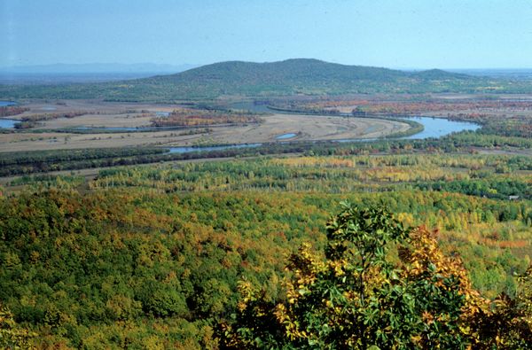 Amur Tigers, Lotuses and Other Wonders of Russia’s Khabarovsk Region - Sputnik International