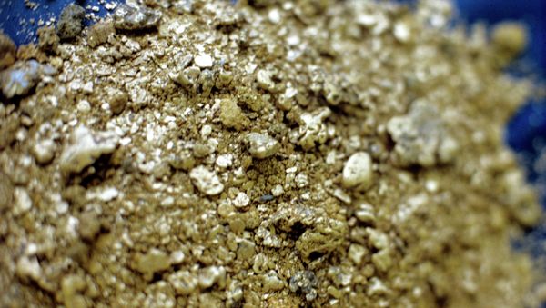 Australian gold mining company OceanaGold is suing El Salvador for more than $300 million - Sputnik International