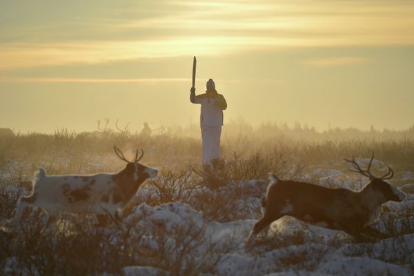 Olympic flame in Naryan-Mar - Sputnik International