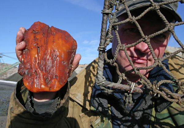 Amber, the Gold of the Baltic - Sputnik International