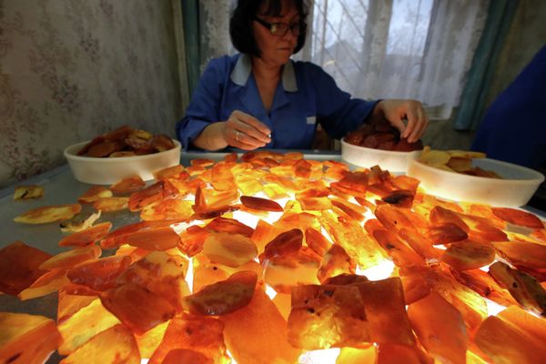 Amber, the Gold of the Baltic - Sputnik International