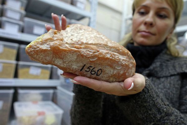 Amber, the Gold of the Baltic - Sputnik International