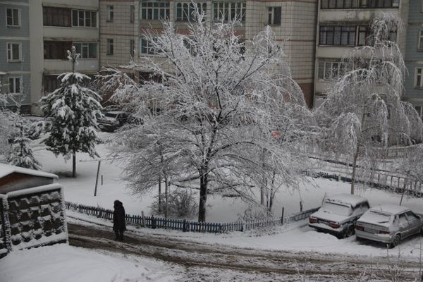 Central Russia Cyclone Leaves Thousands Without Electricity - Sputnik International