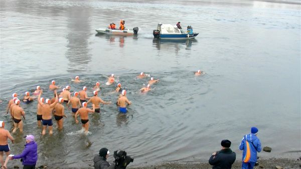 Thirty winter swimmers follow Olympic Torch bearers along the Yenisei River - Sputnik International
