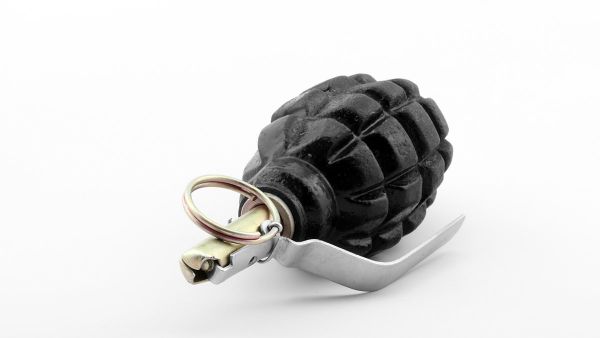 F1 grenade - Sputnik International
