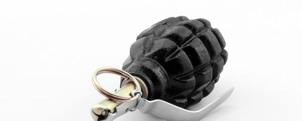 F1 grenade F1 grenade - Sputnik International