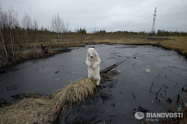 RIA Novosti Best Photos 2013 - Sputnik International
