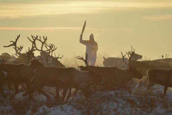 RIA Novosti Best Photos 2013 - Sputnik International