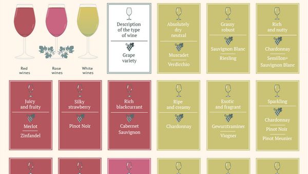 What wine labels tell us - Sputnik International