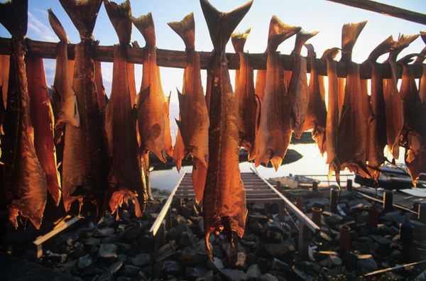 Russia Partially Bans Norwegian Fish - Sputnik International