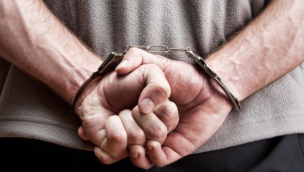 The 33-year-old man faces up to 15 years in prison - Sputnik International