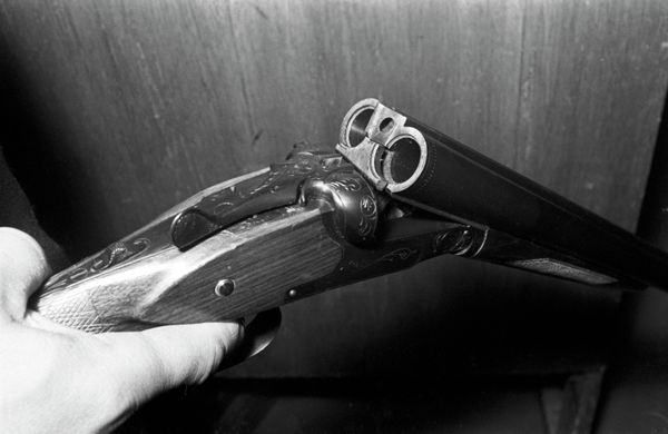 The arrested suspect had a license to hunt - Sputnik International