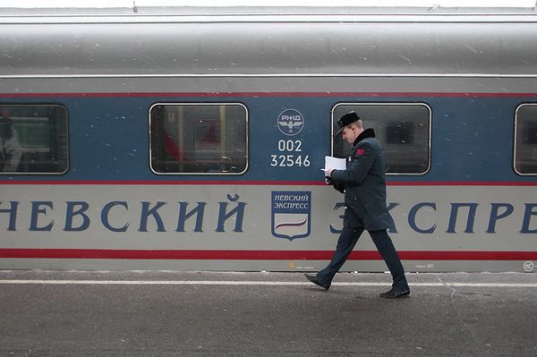 A lion cub was found on a train that had just arrived to Moscow from St. Petersburg - Sputnik International