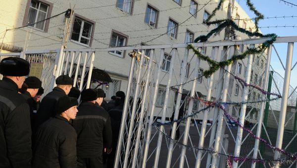 Over 20,000 Released Under Amnesty in Honor of Russian Constitution Anniversary - Sputnik International