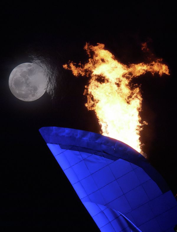 Sochi’s Beauty: Best Shots of 2014 Olympic Winter Games - Sputnik International