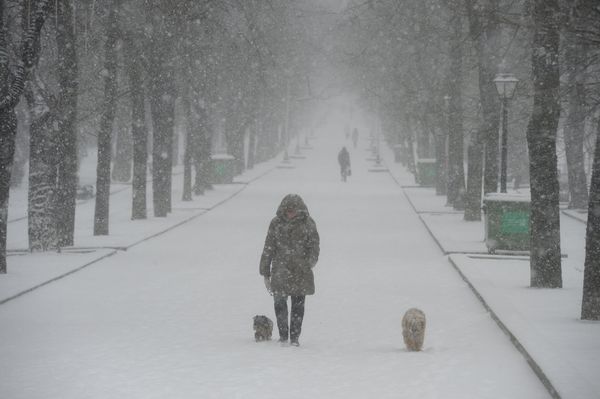 Spring Snowfall in Moscow - Sputnik International