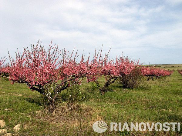 Crimea in Pictures - Sputnik International