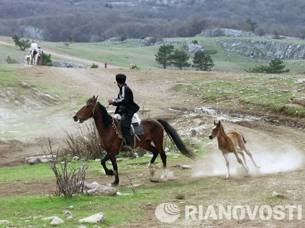 Crimea in Pictures - Sputnik International