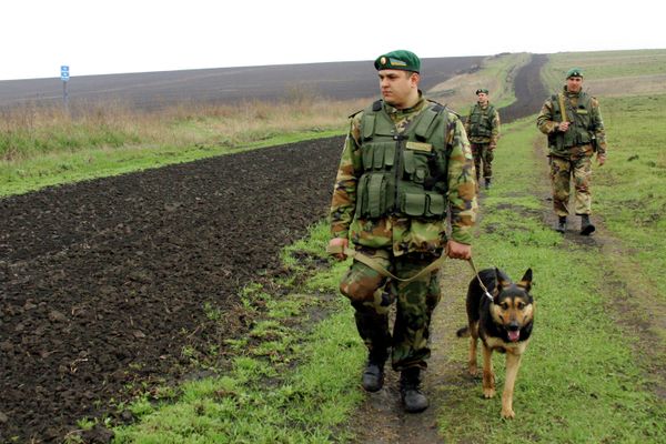 Ukrainian border guards - Sputnik International