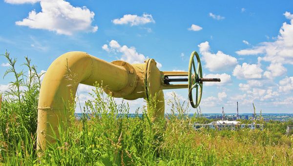The pricing formula for Russian gas supplies to China vie the western route pipeline will include a take-or-pay contractual obligation, Russia's Gazprom energy giant said Sunday. - Sputnik International