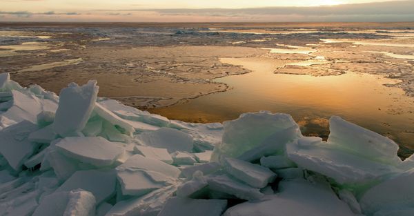 Russia to Solidify Claim of Resource Rich Zone in Sea of Okhotsk - Sputnik International
