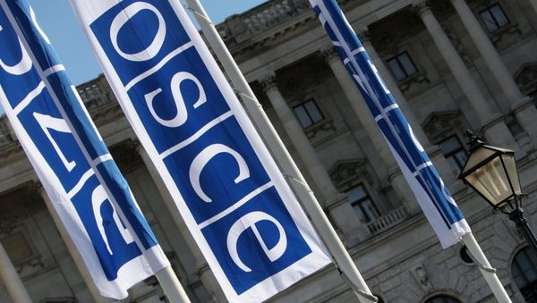 OSCE Backs Russia’s Proposal to Establish International Contact Group on Ukraine - Sputnik International