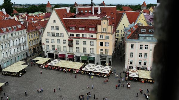 World cities. Tallinn - Sputnik International