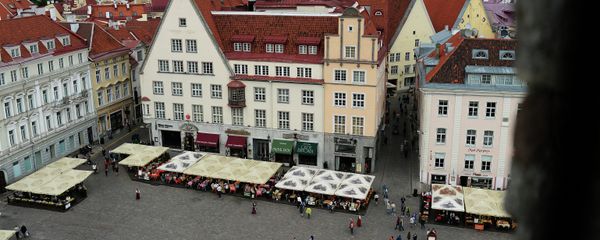 World cities. Tallinn - Sputnik International