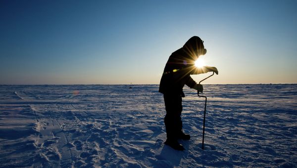 The Russian president added he has no plans to create a federal Arctic region under Moscow’s subordination. - Sputnik International