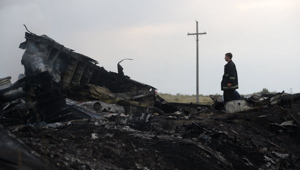Malaysia Airlines Boeing-777 crash site Malaysia Airlines Boeing-777 crash site - Sputnik International