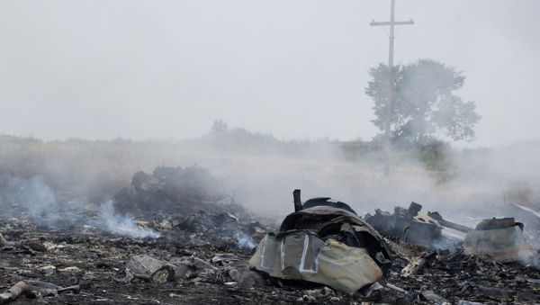 Eight families from Australia, whose relatives died in the Malaysian Airlines Boeing 777 crash in eastern Ukraine are preparing to sue Ukraine, Malaysia, Russia, and the airline, The Daily Mail reported Thursday. - Sputnik International