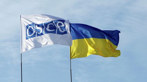 East Ukraine Militia Threatens to Stop Cooperating With OSCE in Plane Crash Probe - Sputnik International