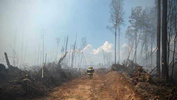 Over 400 people, six aircraft and almost 50 units of equipment are involved in firefighting efforts in the Russian Far East. - Sputnik International