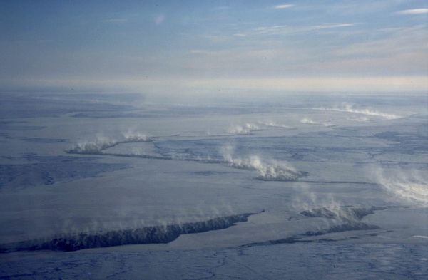 Arctic - Sputnik International