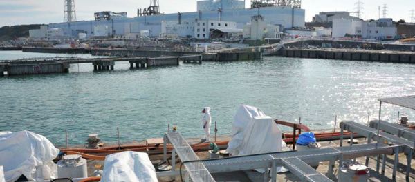 Japan's 48 commercial nuclear reactors were shut down following the Fukushima disaster Japan's 48 commercial nuclear reactors were shut down following the Fukushima disaster - Sputnik International