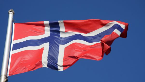 Differing views on the Ukrainian conflict should not impede relations between Russia and Norway - Sputnik International