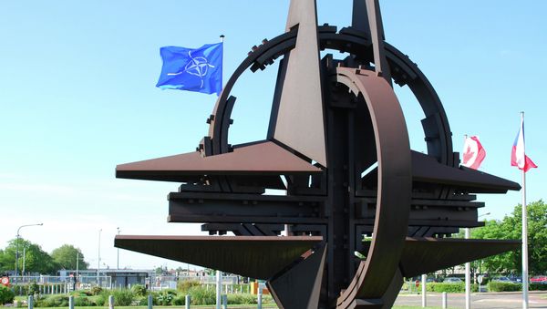 Some Western analysts say it was the Alliance itself which “has violated nearly each and every paragraph of its agreement with Russia, which has stabilized Europe for a certain time - Sputnik International