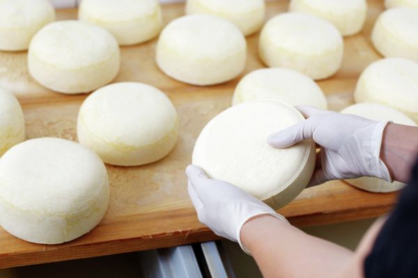 Production of cheese - Sputnik International