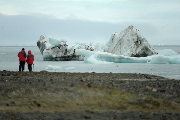 Participants in an expedition to Champ Island - Sputnik International