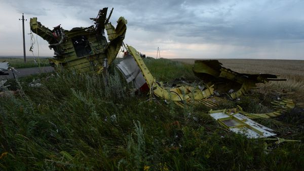 The removal of the remaining wreckage of Malaysia Airlines flight MH17 that crashed in eastern Ukraine in July may start within the next two weeks, the deputy prime minister of the self-proclaimed Donetsk People's Republic (DPR) said Monday. The removal of the remaining wreckage of Malaysia Airlines flight MH17 that crashed in eastern Ukraine in July may start within the next two weeks, the deputy prime minister of the self-proclaimed Donetsk People's Republic (DPR) said Monday. - Sputnik International