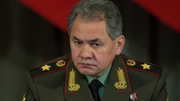 Russian Defense Minister Sergei Shoigu - Sputnik International