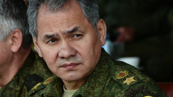 Russia's Defense Minister Sergei Shoigu Russia's Defense Minister Sergei Shoigu - Sputnik International
