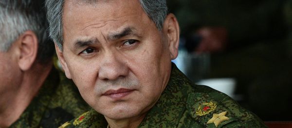 Russia's Defense Minister Sergei Shoigu Russia's Defense Minister Sergei Shoigu - Sputnik International