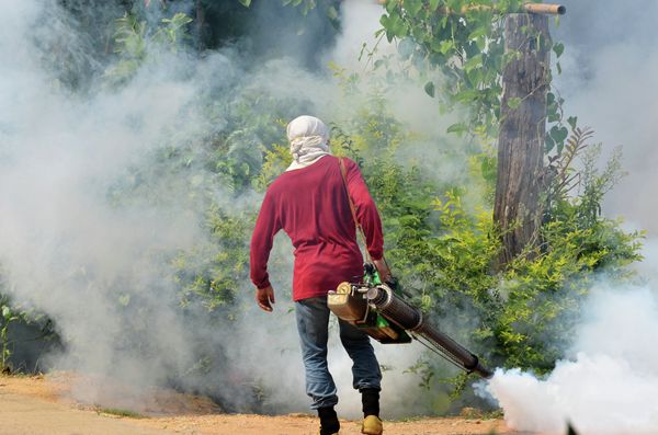 Dengue fever preventive measures - Sputnik International