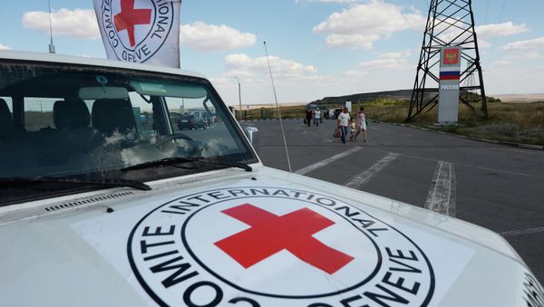 Delegates from the International Red Cross and Red Crescent Movement are to visit Russia in order to assess the needs and demands of the most vulnerable displaced persons from Ukraine – large families, the disabled and the elderly. - Sputnik International