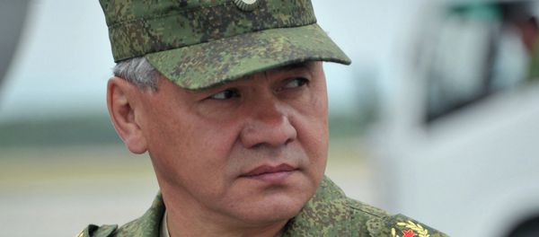 Russia's Defense Minister Sergei Shoigu Russia's Defense Minister Sergei Shoigu - Sputnik International