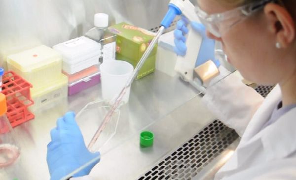 Russia's only AIDS vaccine, which has reached the second stage of clinical trials, was created by a Russian biological research center. Russia's only AIDS vaccine, which has reached the second stage of clinical trials, was created by a Russian biological research center. - Sputnik International